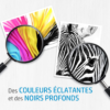 HP Tête d'Impression D'ORIGINE NOIR & COULEUR